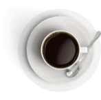 Rochester Publishers